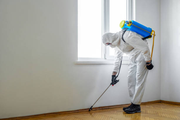Best Exterminator Services  in Minooka, IL