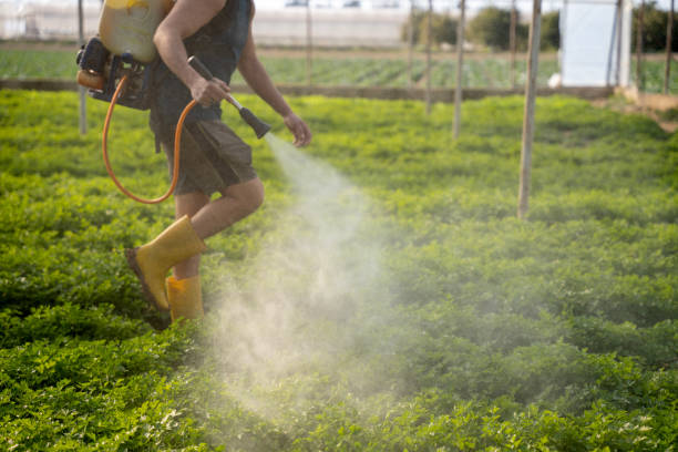 Best Best Pest Control Companies  in Minooka, IL
