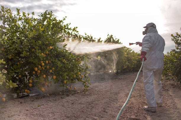 Best Insect Control  in Minooka, IL
