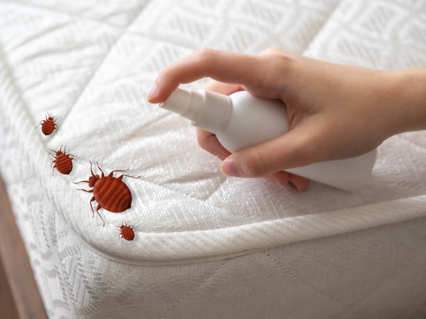Best Pest Control Near Me  in Minooka, IL