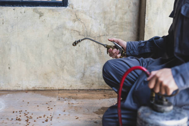 Best Termite Control Services  in Minooka, IL