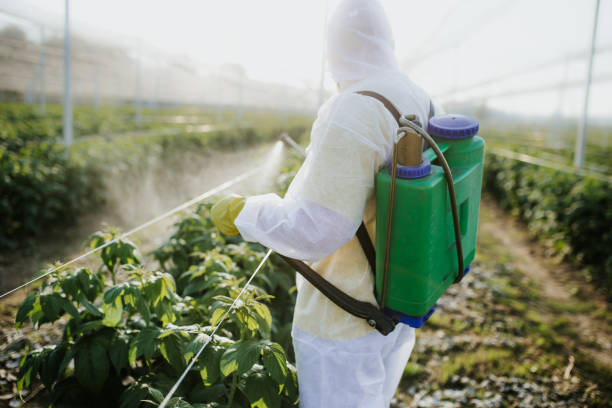 Best Emergency Pest Control  in Minooka, IL